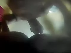 Paxaro cuco muller do amigo