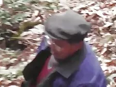 Bosque serie - bosque salvaxe